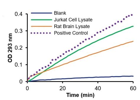 Adenosine Deaminase (ADA) Activity Assay Kit (Colorimetric) (ab211093) | Abcam