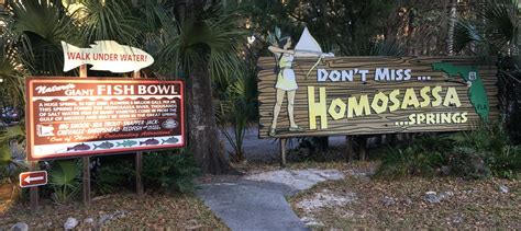 Homosassa Springs Wildlife Park – Dan's Road Trip Adventures