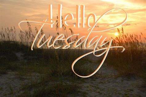 Happy Tuesday Coastal Lovers ~ Good Morning Tuesday Tuesday Quotes