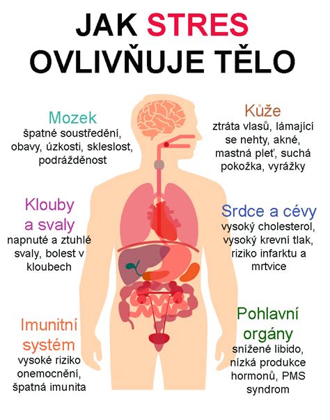 V C Kter Byste M Li V D T O Stresu Lidoll Cz