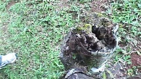 Camp Hard Rocks Scene Gay Teen Amateur Porn XHamster