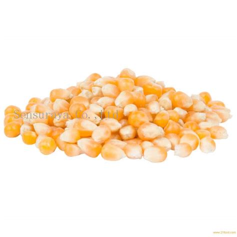 Non Gmo Yellow Maize Poland Yellow Maize Price Supplier Food