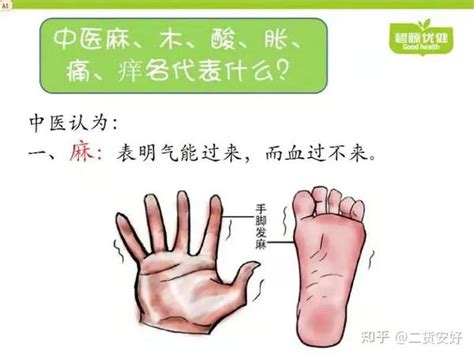 中医麻、木、酸、胀、痛、痒、各代表什么呢？用图文介绍一下： 知乎