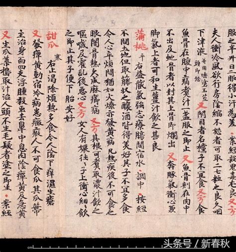 無價之寶，唐朝貴族的食療養生手冊，敦煌醫書殘卷，書法太美了 每日頭條