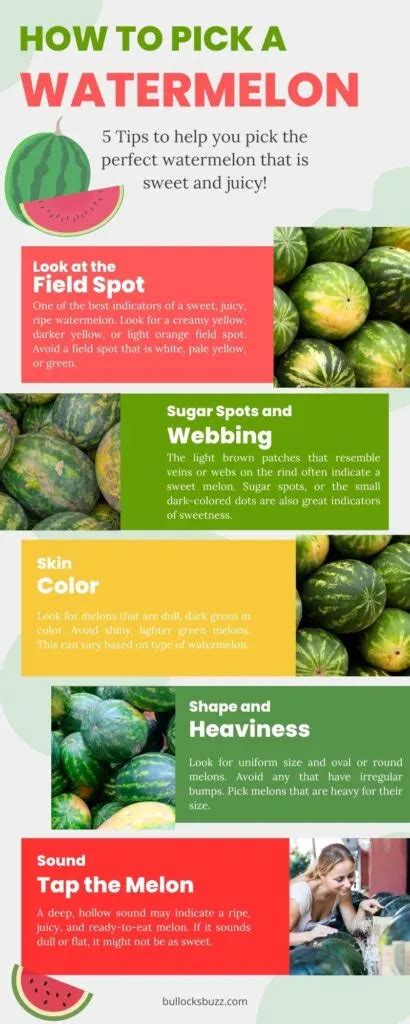 How To Pick A Good Fruit The Ultimate Guide To Watermelon Pineapple