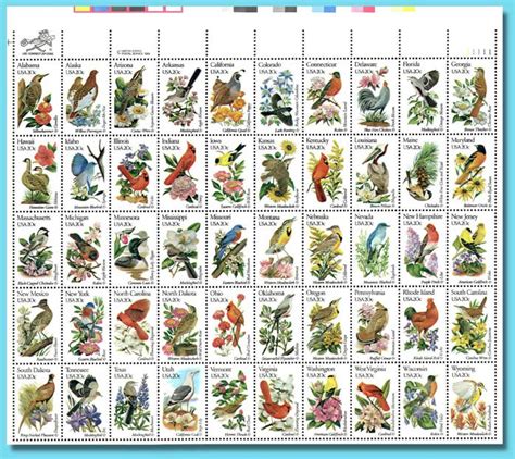 Us 50 States Birds And Flowers Stamp