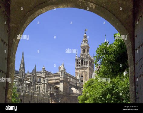 La Cathédrale De Séville Banque De Photographies Et Dimages à Haute