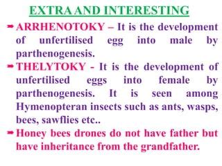 Sex Determination In Honey Bees PPT