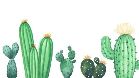 Desktop Cactus Wallpaper - KoLPaPer - Awesome Free HD Wallpapers