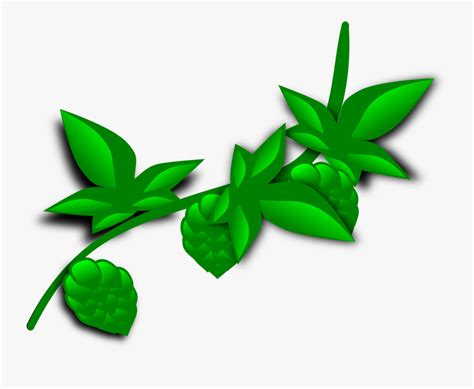 Vines Clipart Rainforest Vine - Plant Clip Art , Free Transparent ...