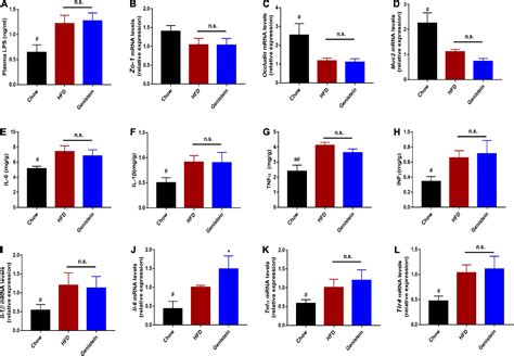 Frontiers Genistein Protects Against Hyperglycemia And Fatty Liver