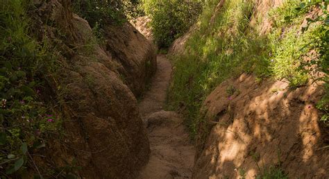 La Campana National Park Hiking Day Trip - Santiago | FREETOUR.com