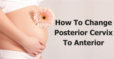 6 Degrees Of Change: The Mysterious Cervix Shift