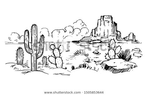 Sketch Desert America Cacti Prairie Landscape Stock Vector Royalty Free 1505853644 In 2020