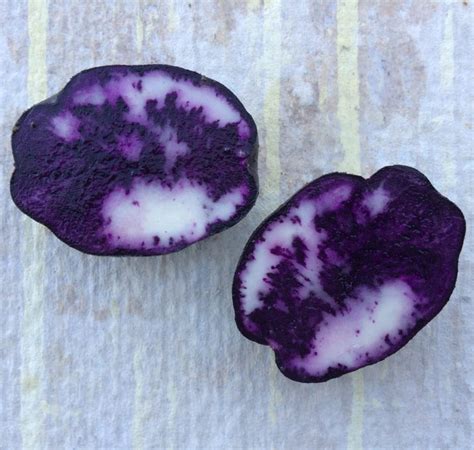 blue potato     cultivariable