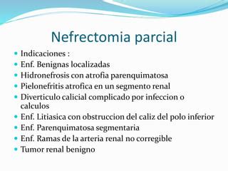 Tecnica De Nefrectomia Simple Y Parcial PPT