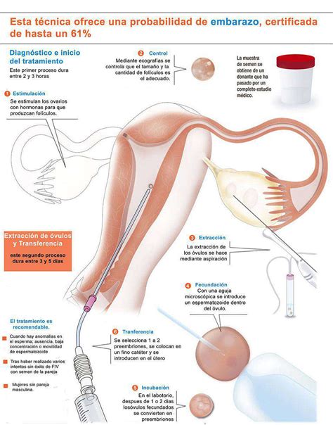 Clínica de la Mujer Ginecología y Técnicas de Reproducción