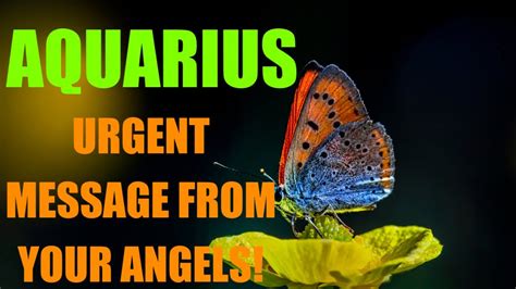 Aquarius Urgent Message From Your Angels September Youtube