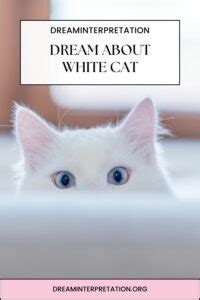 Dream About White Cat Interpretation Spiritual Meaning