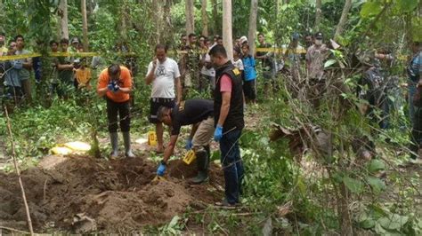 Kakek Tahun Ditemukan Tewas Terkubur Di Hutan Jati Di Ambulu Jember