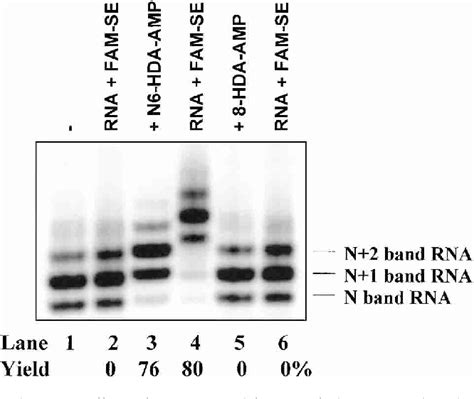 Figure 1 From Synthesis Of Adenosine Derivatives As Transcription Initiators And Preparation Of