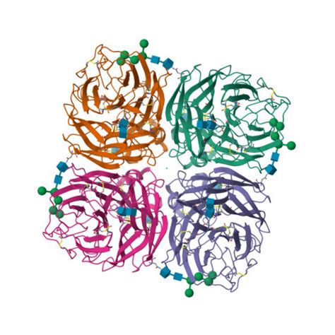 Rcsb Pdb 2qwa The X Ray Structure Of A Drug Resistant Variant R292k