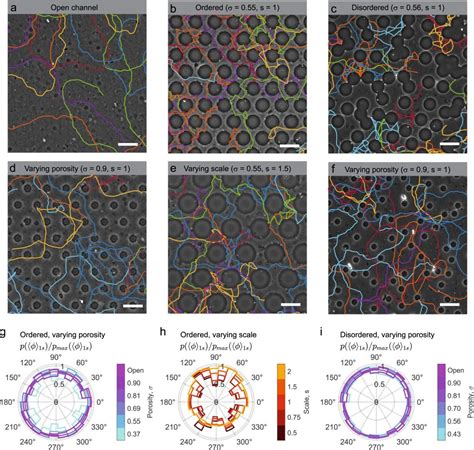 A Microfluidics Study Bacterial Motility In Porous Microstructures