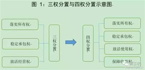 詳解農村土地三權分置改革中的若干關鍵問題 每日頭條