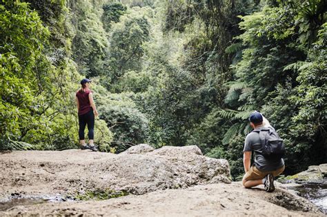 Guide to the waterfalls of Gondwana Rainforest | Queensland