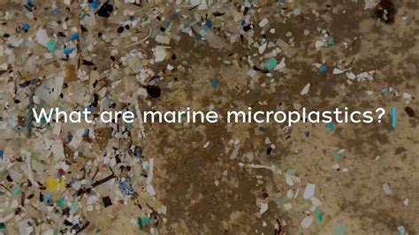 What Are Marine Microplastics Youtube