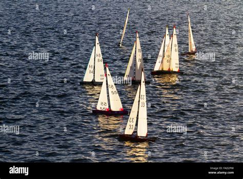 Radio Control Yacht Sailing On A Model Boating Lake The International