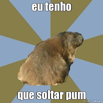 Memes Sphmarmot Animais Diversos P Gina Criarmeme Br