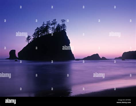 olympic national park washington state usa stock photo alamy