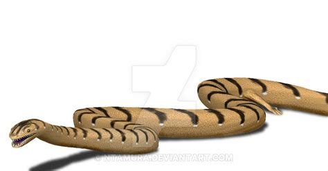 variety  life anguimorpha