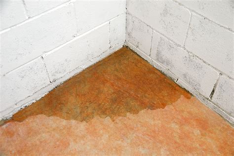 How To Get Rid Of The Musty Smell In Your Basement Hausette