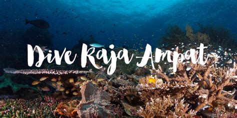 Diving Raja Ampat Liveaboard | Wanderlass