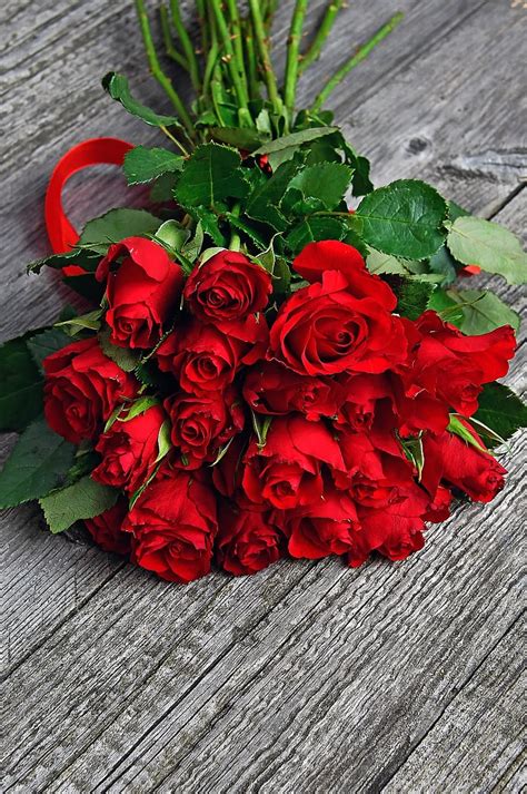 Rose Valentines Valentines Day Romantic Romance Love Nice