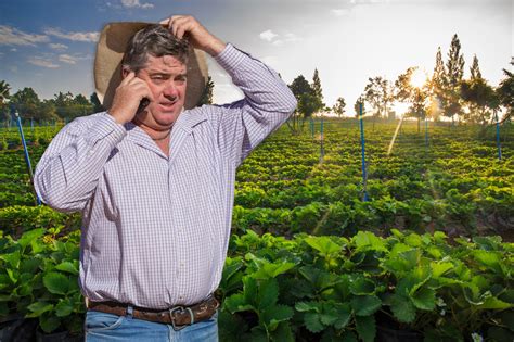 Berry Farmer Offering Fuck All For Job In Middle Of Nowhere Cant Find Employees For Some Reason
