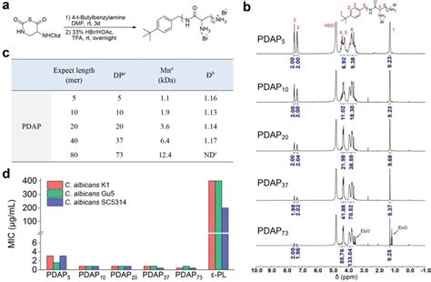 Synthesis Characterization And Activity Of Pdap A Synthetic Scheme Download Scientific