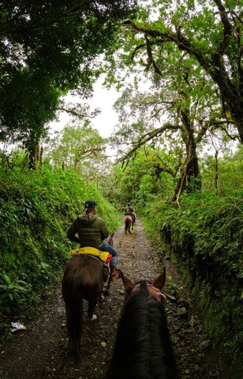 Rural Y Agroturismo