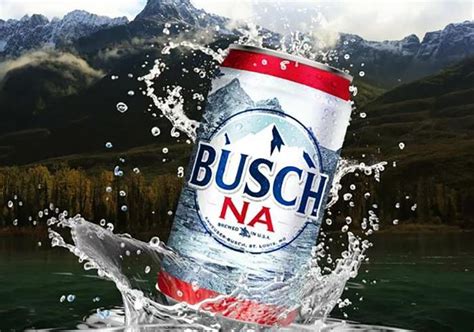 Busch Na Non Alcoholic Beer - Chesbrewco