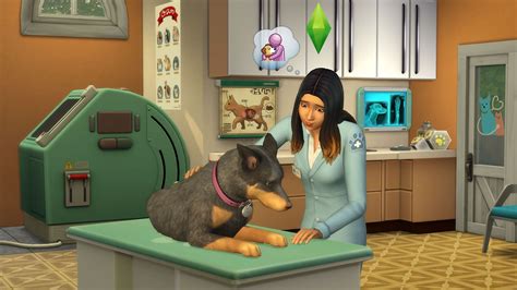 Les Sims 4 Chiens Et Chats Trailer De Gameplay Sur PC