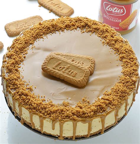 No Bake Lotus Biscoff Cheesecake Lidias Cookbook