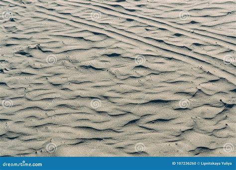 Grey Sand on the Beach, Sand Texture Stock Photo - Image of brown, gold ...