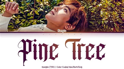 Kangta Pine Tree Color Coded Lyrics Han Rom Eng Youtube