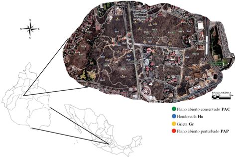 Procesos F Sicos Del Suelo En La Reserva Ecol Gica Del Pedregal De San