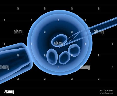 Representación 3D X ray ovum con aguja para inseminación artificial o