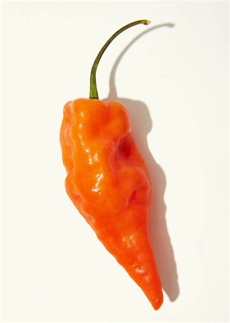 These Non-Spicy Habanero Peppers are a Gift from Science | Bon Appétit