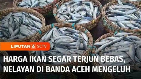 VIDEO Harga Ikan Segar Di Banda Aceh Anjlok Drastis Nelayan Terus