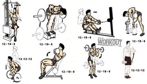 Back And Biceps Training Plan - Health Fitness Workout Routine - Yeah ...
